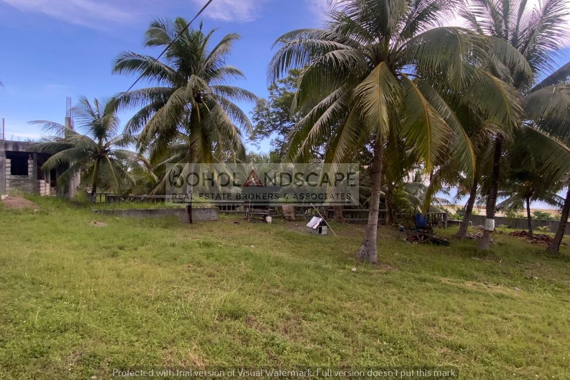 3 Bedroom House for Sale in Malinao East, Lila, Bohol – photo 8