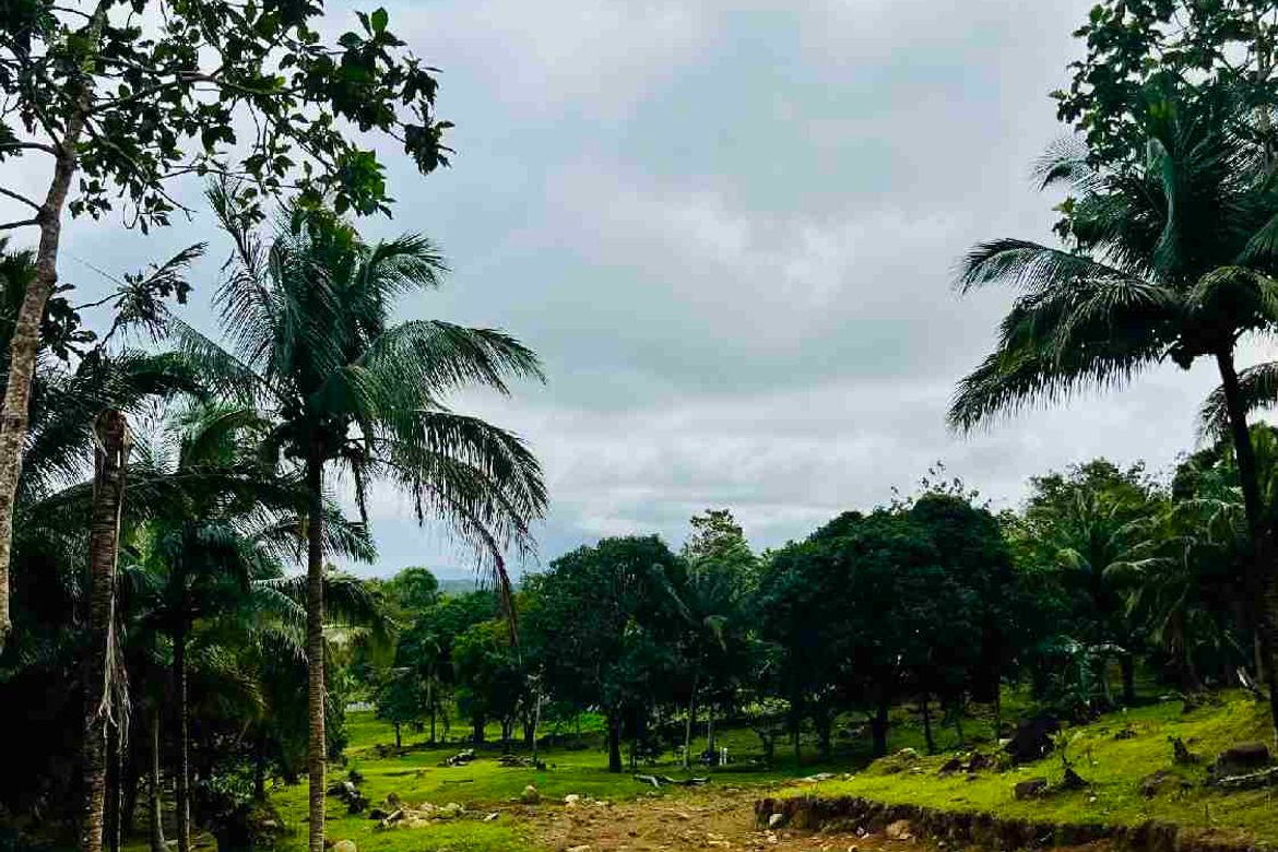 3 Bedroom House for Sale in Muntingdilaw, Antipolo, Rizal – photo 5