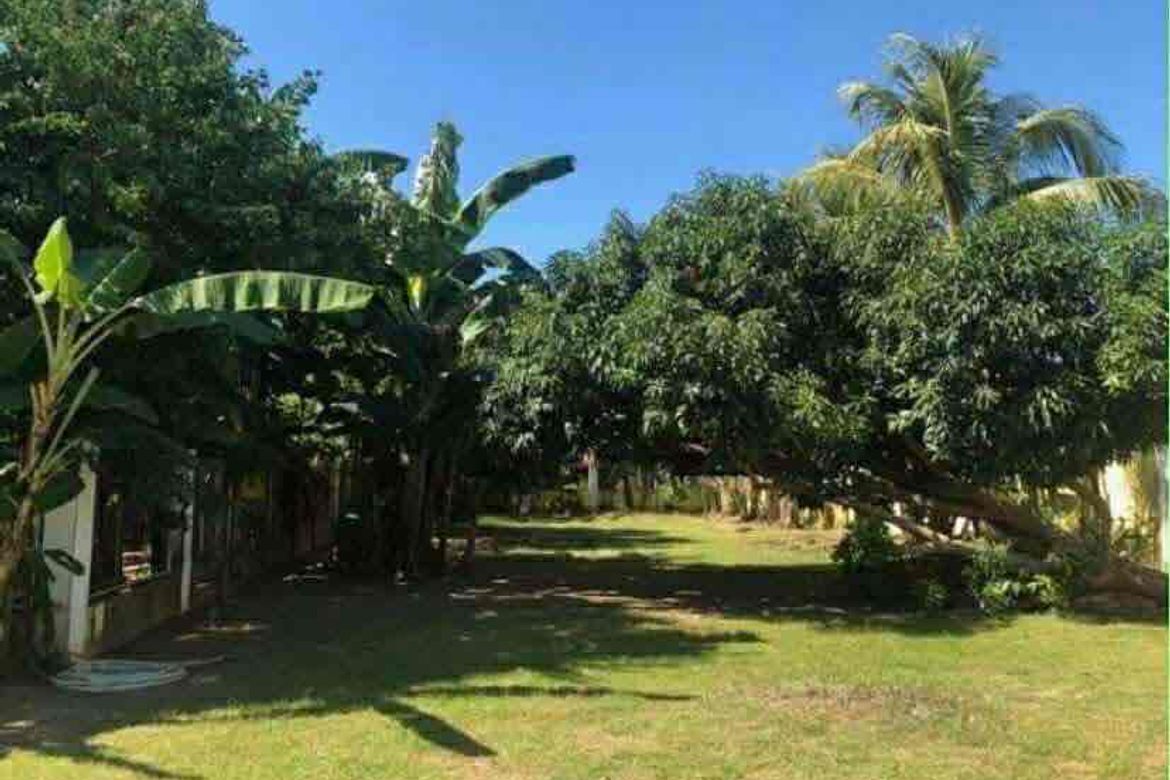 3 Bedroom House for Sale in San Jose, Tarlac, Tarlac – photo 6