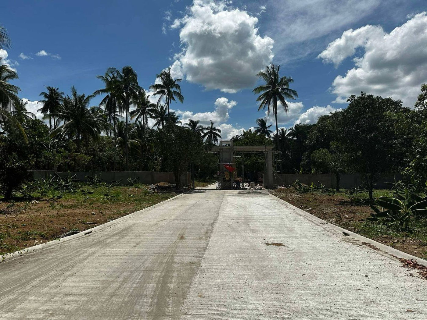 300 SQM Farm-Residential Lot for Sale in Alex Riverside Hills, General Emilio Aguinaldo, Cavite – photo 5