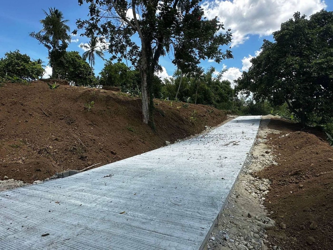 300 SQM Farm-Residential Lot for Sale in Alex Riverside Hills, General Emilio Aguinaldo, Cavite – photo 10