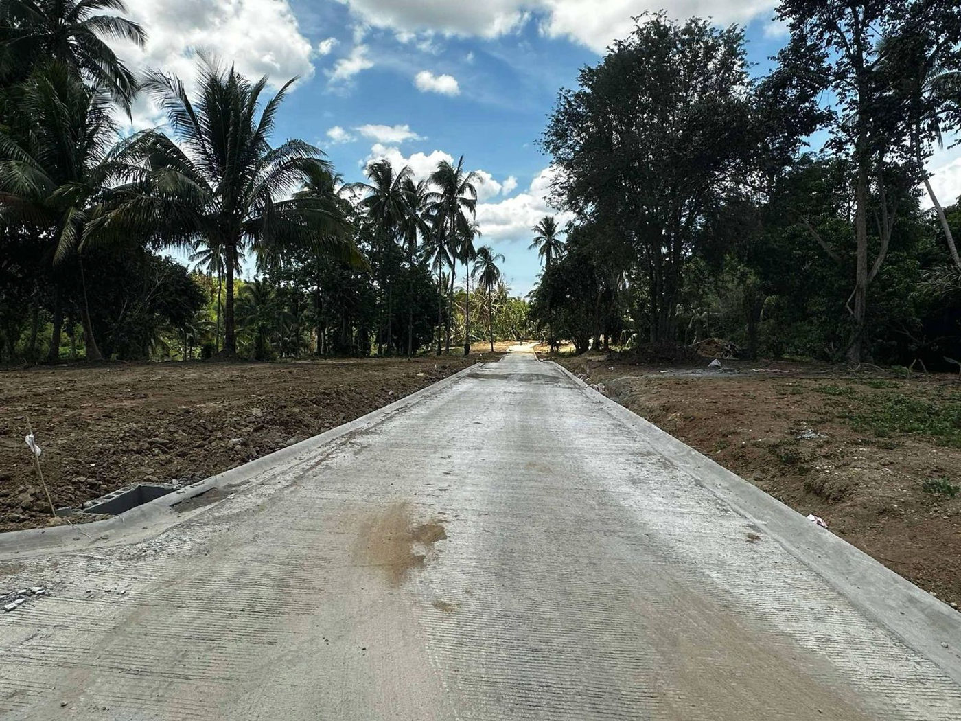 300 SQM Farm-Residential Lot for Sale in Alex Riverside Hills, General Emilio Aguinaldo, Cavite – photo 14