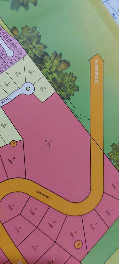 31,527 SQM Commercial Lot for Sale along Marcos Highway in Palo Alto, Baras, Rizal
