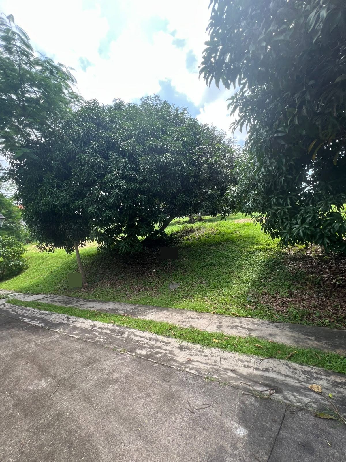 334 SQM Vacant Lot for Sale in Ayala Westgrove Heights, Silang, Cavite – photo 4