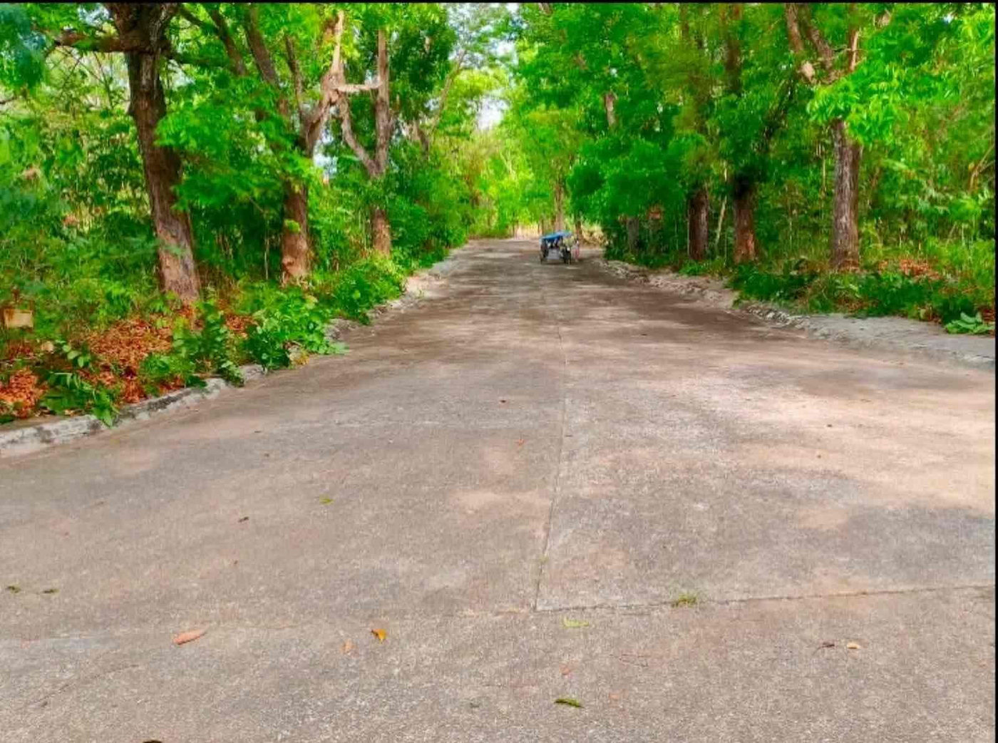379 SQM Residential Golf Community Lot for Sale in Sherwood Hills, Trece Martires, Cavite – photo 7