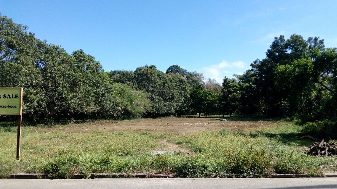 4,000 SQM Residential Farm Lot for Sale in Lagundi, Morong, Rizal – photo 2