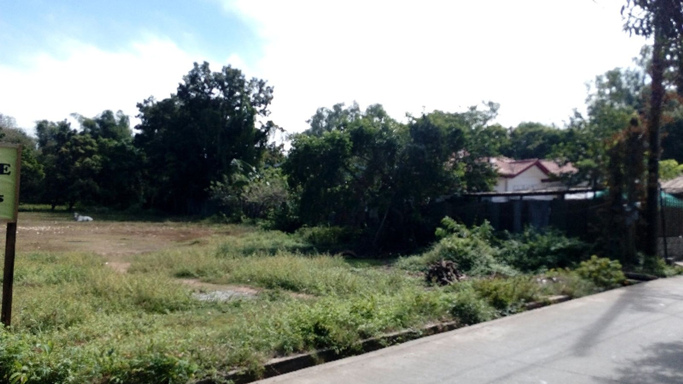 4,000 SQM Residential Farm Lot for Sale in Lagundi, Morong, Rizal – photo 3