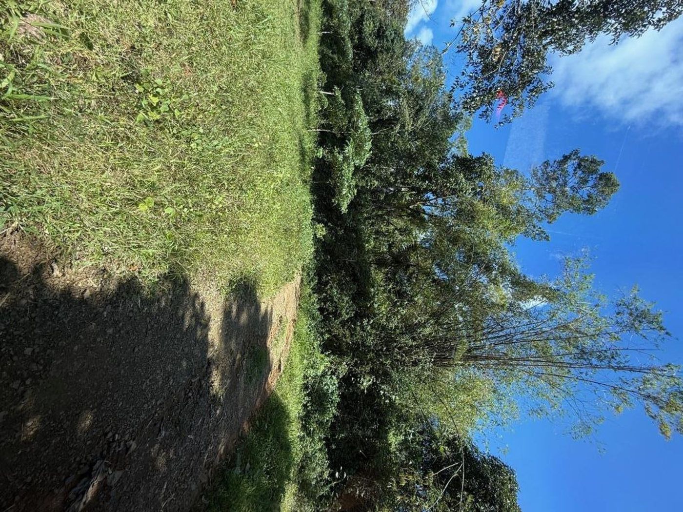 4.2-Hectare Farm Lot with Natural Spring for Sale near Tanay Highlands, Sampaloc, Tanay – photo 4