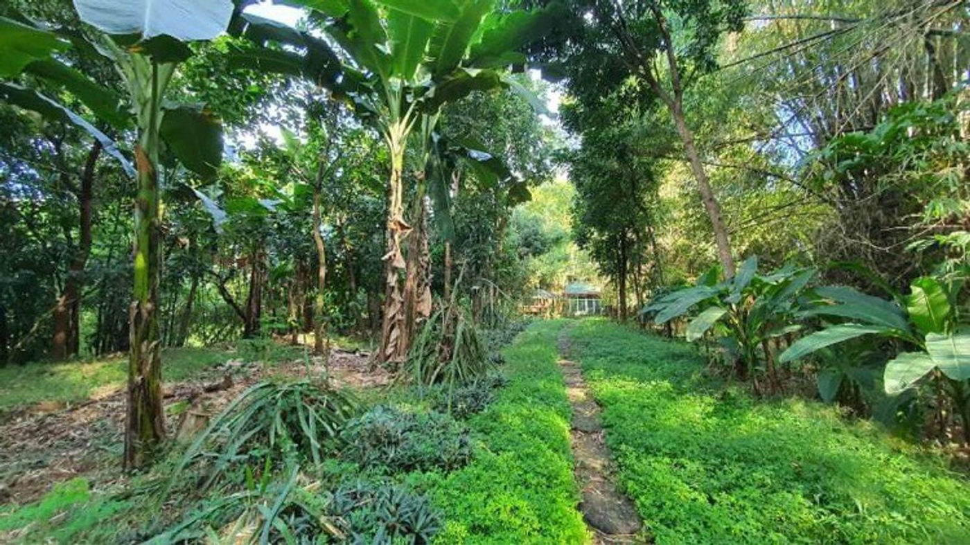 4.5-Hectare Eco-Farm Tourism Property for Sale in Teresa, Rizal – photo 7