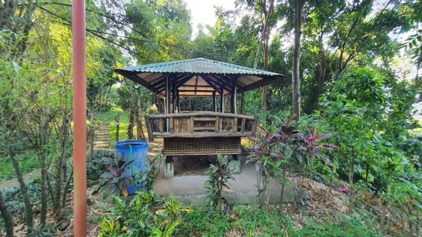 4.5-Hectare Eco-Farm Tourism Property for Sale in Teresa, Rizal – photo 15