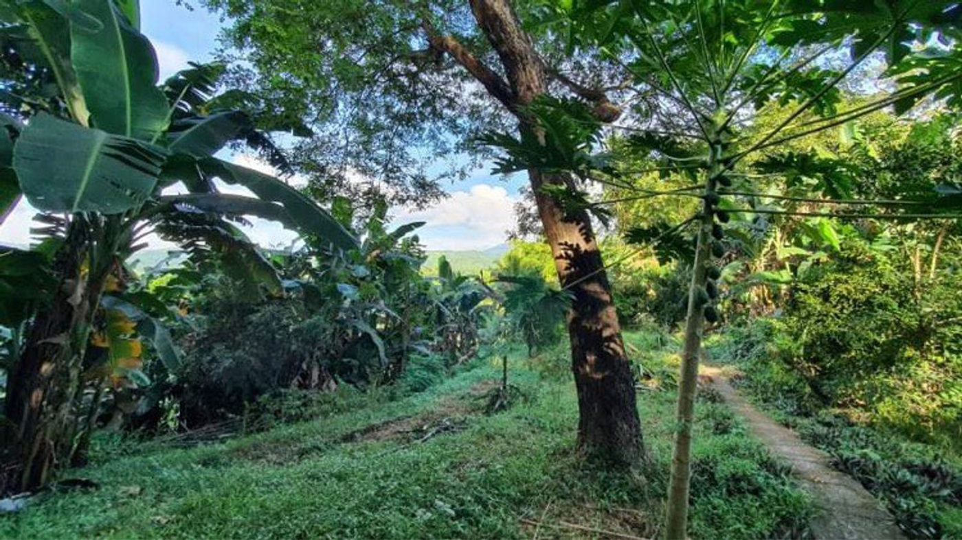 4.5-Hectare Eco-Farm Tourism Property for Sale in Teresa, Rizal – photo 23
