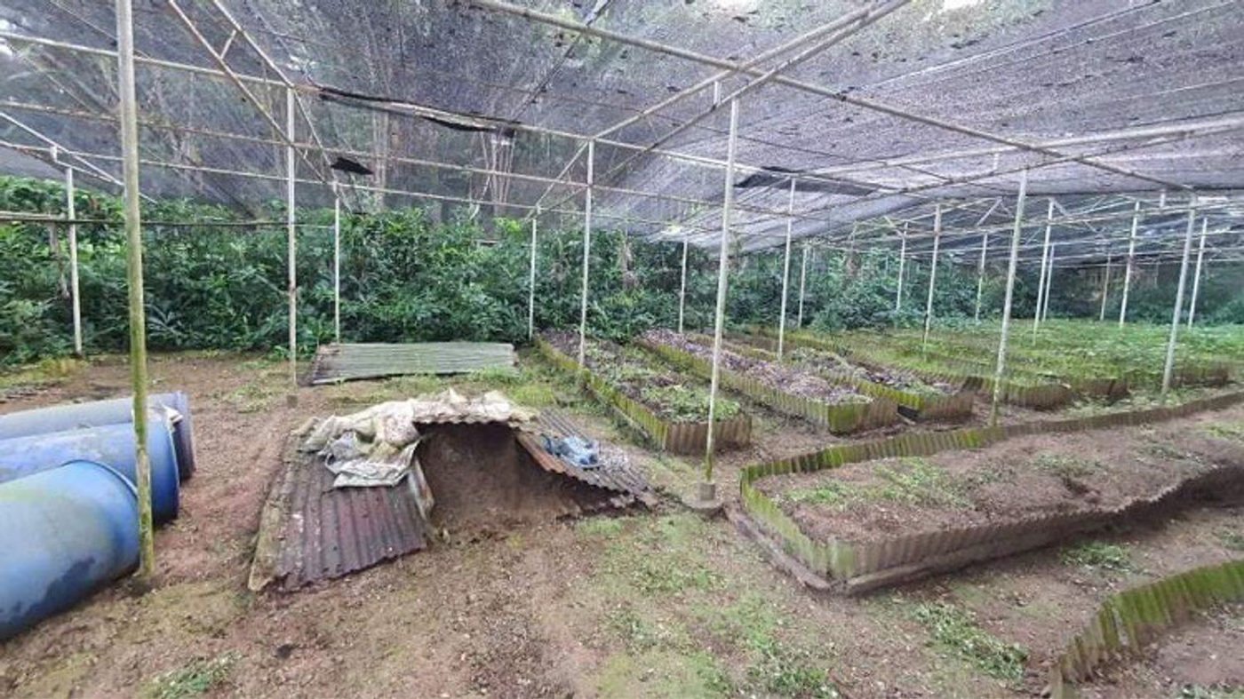 4.5-Hectare Eco-Farm Tourism Property for Sale in Teresa, Rizal – photo 27