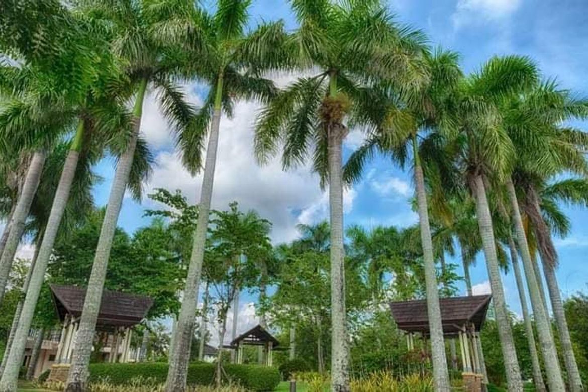 4 Bedroom House for Rent in Pramana Residential Park, Malitlit, Santa Rosa, Laguna photo 2