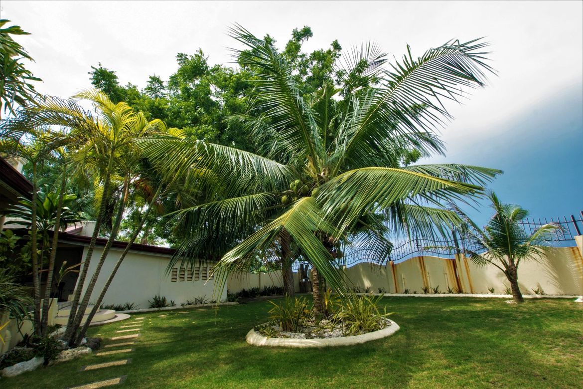 4 Bedroom House for Sale in Corazon, Catmon, Cebu – photo 5