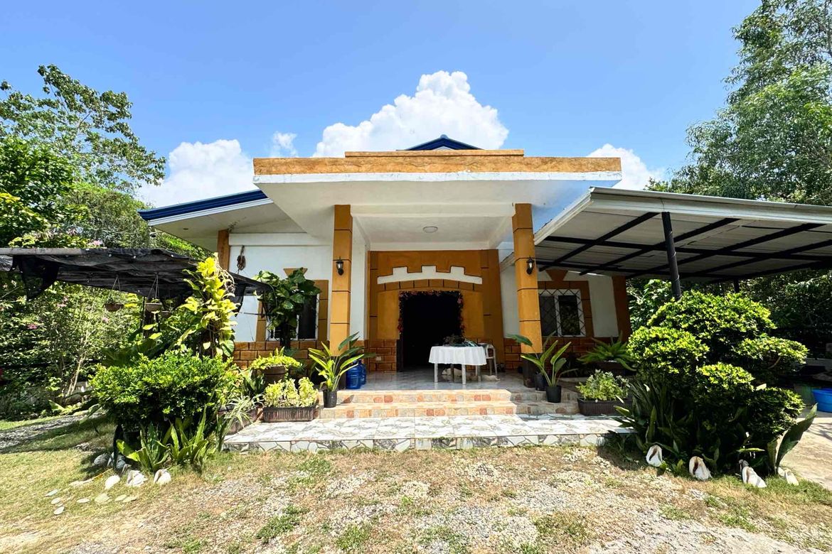 4 Bedroom House for Sale in Libaong, Panglao, Bohol
