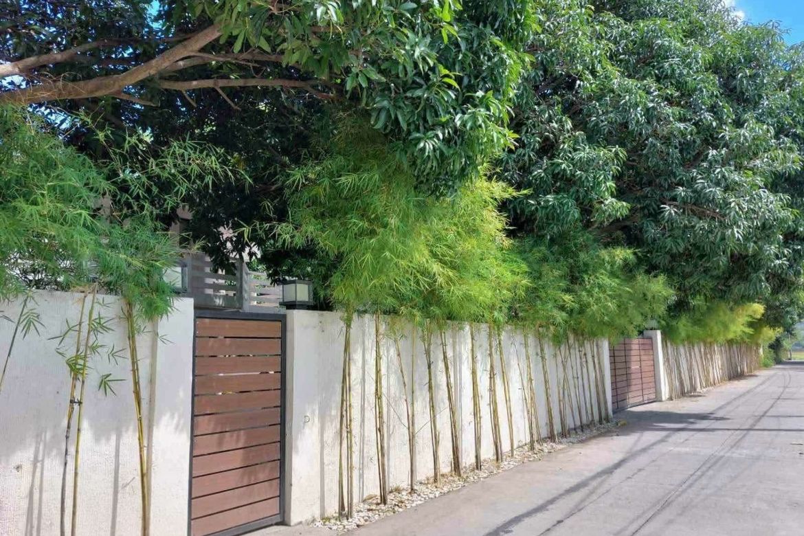 4 Bedroom House for Sale in Matabungkay, Lian, Batangas – photo 2