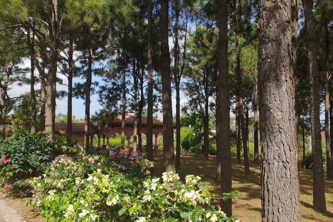 4 Bedroom House for Sale in Pulong Bunga, Silang, Cavite – photo 3