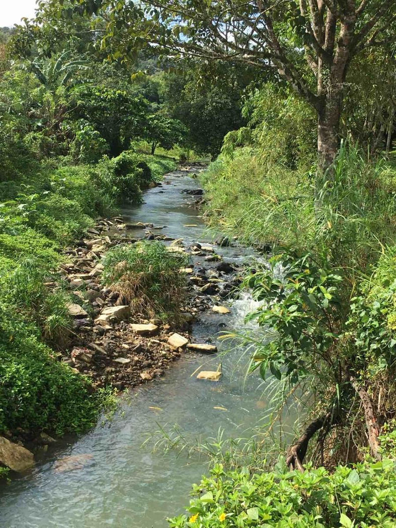 45.7-Hectare Titled Farmland with River for Sale in Sampaloc, Tanay, Rizal