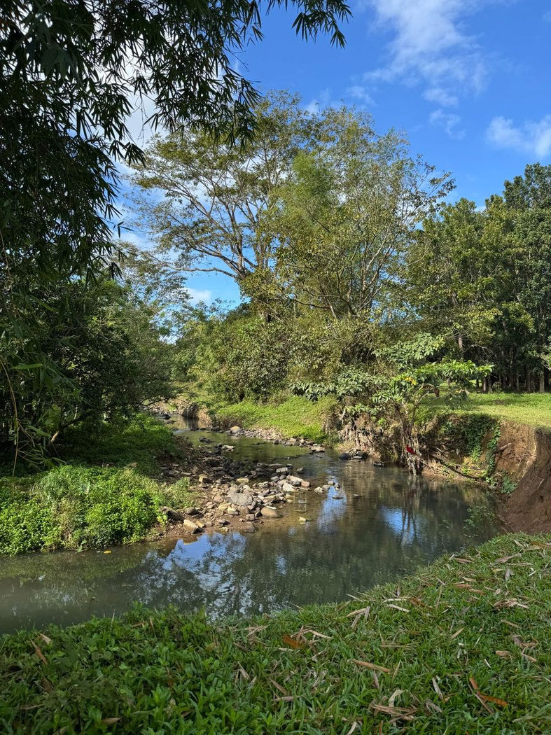 45.7-Hectare Titled Farmland with River for Sale in Sampaloc, Tanay, Rizal – photo 8