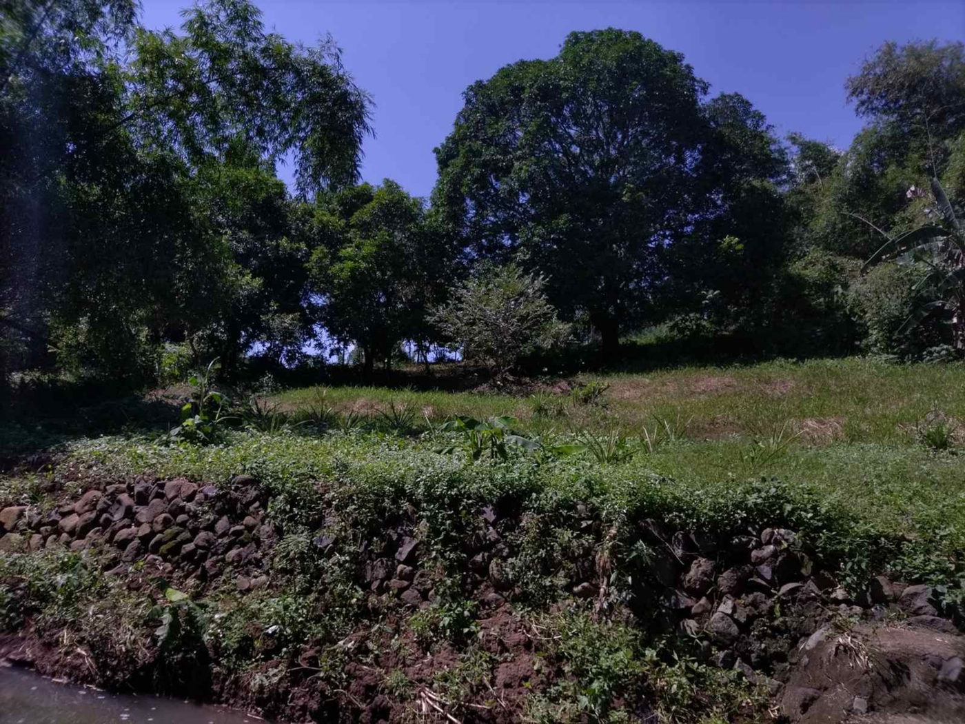 4.87-Hectare Agricultural Lot for Sale along Baras Road, Baras, Rizal