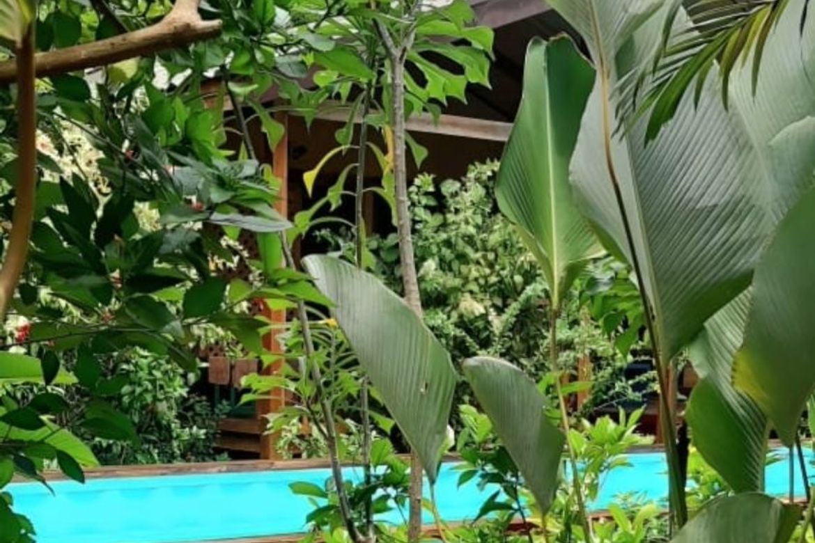 5 Bedroom Hotel / Resort for Sale in San Pedro, Puerto Princesa, Palawan – photo 3