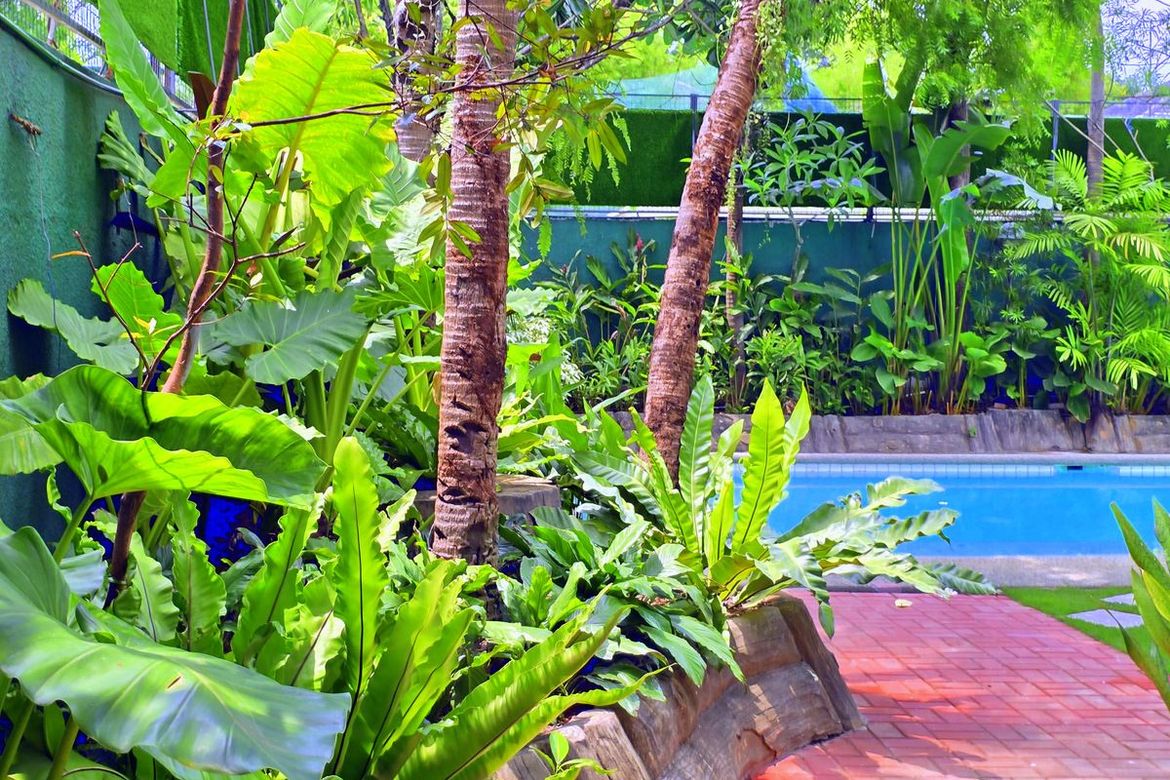 5 Bedroom House for Rent in Dasmariñas North, Makati, Metro Manila near MRT-3 Magallanes photo 6
