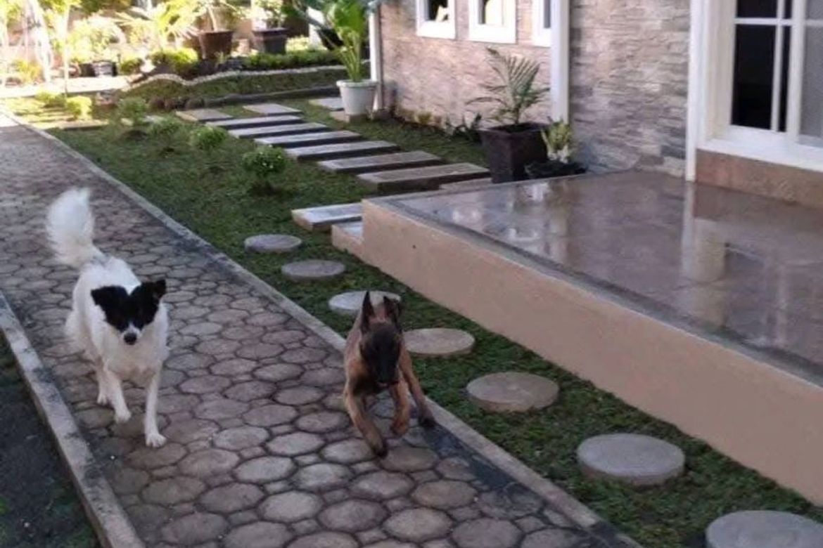 5 Bedroom House for Sale in Mambago-A, Samal, Davao del Norte – photo 6