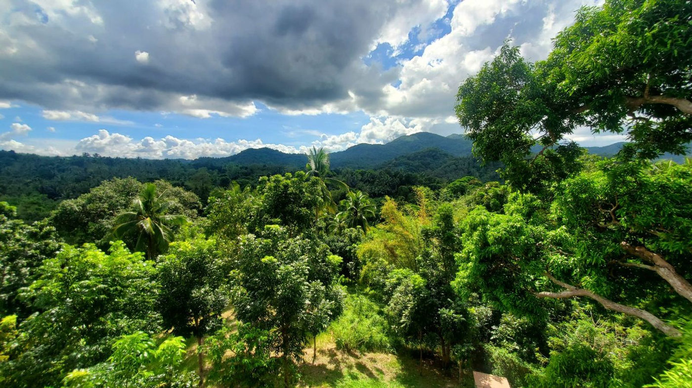 5-Bedroom Mansion on 6,000 SQM with Mt. Talamitan View for Sale in Medina, Magallanes, Cavite – photo 12