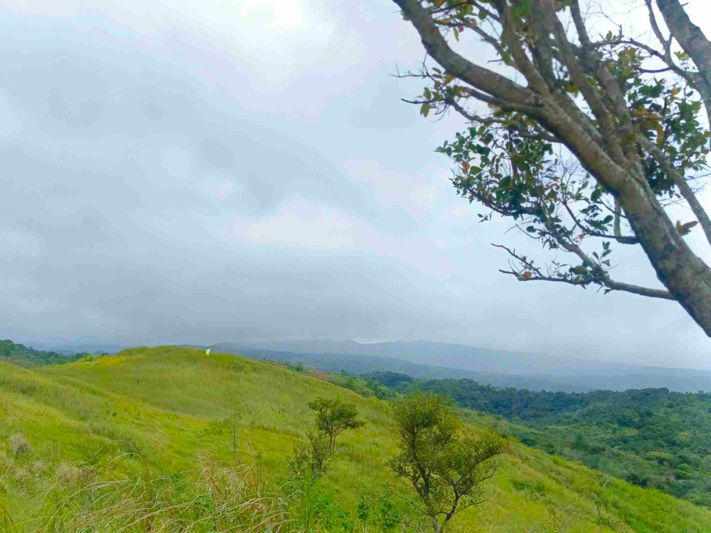 500 SQM Titled Farm Lot for Sale in Sampaloc, Tanay, Rizal