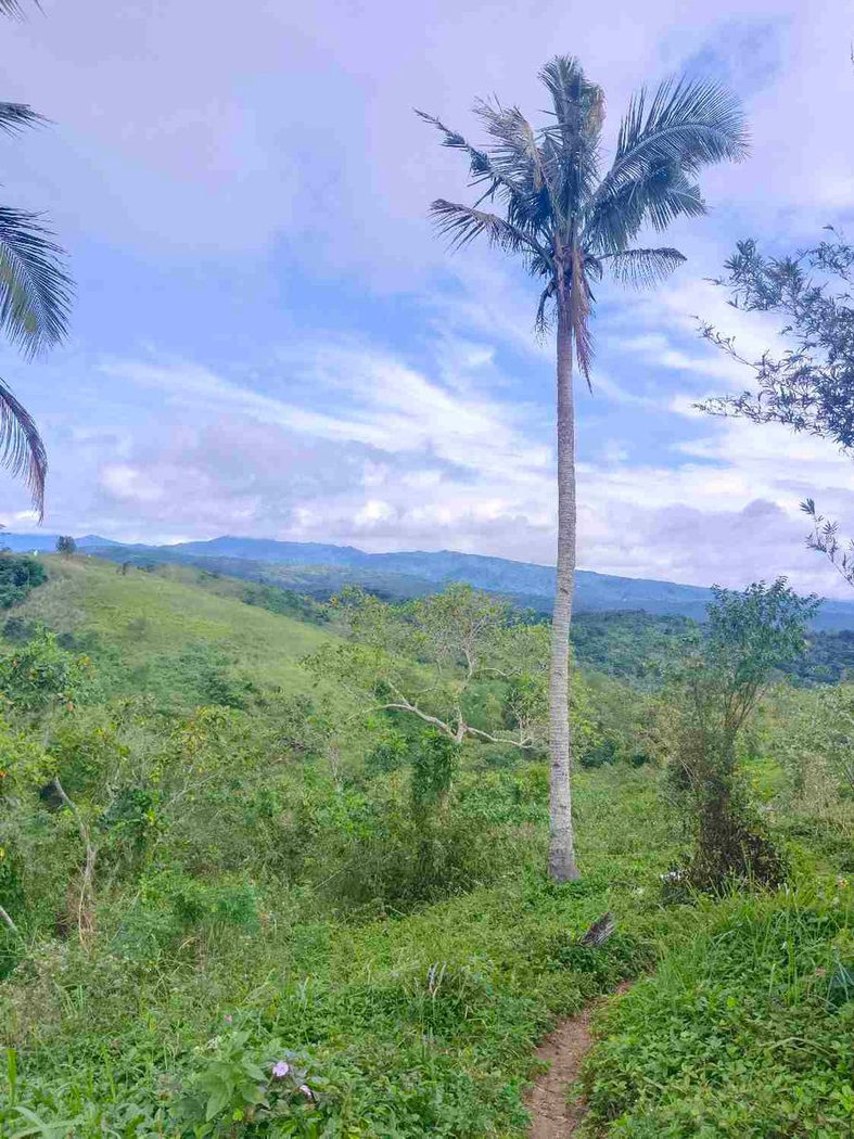 500 SQM Titled Farm Lot for Sale in Sampaloc, Tanay, Rizal – photo 2