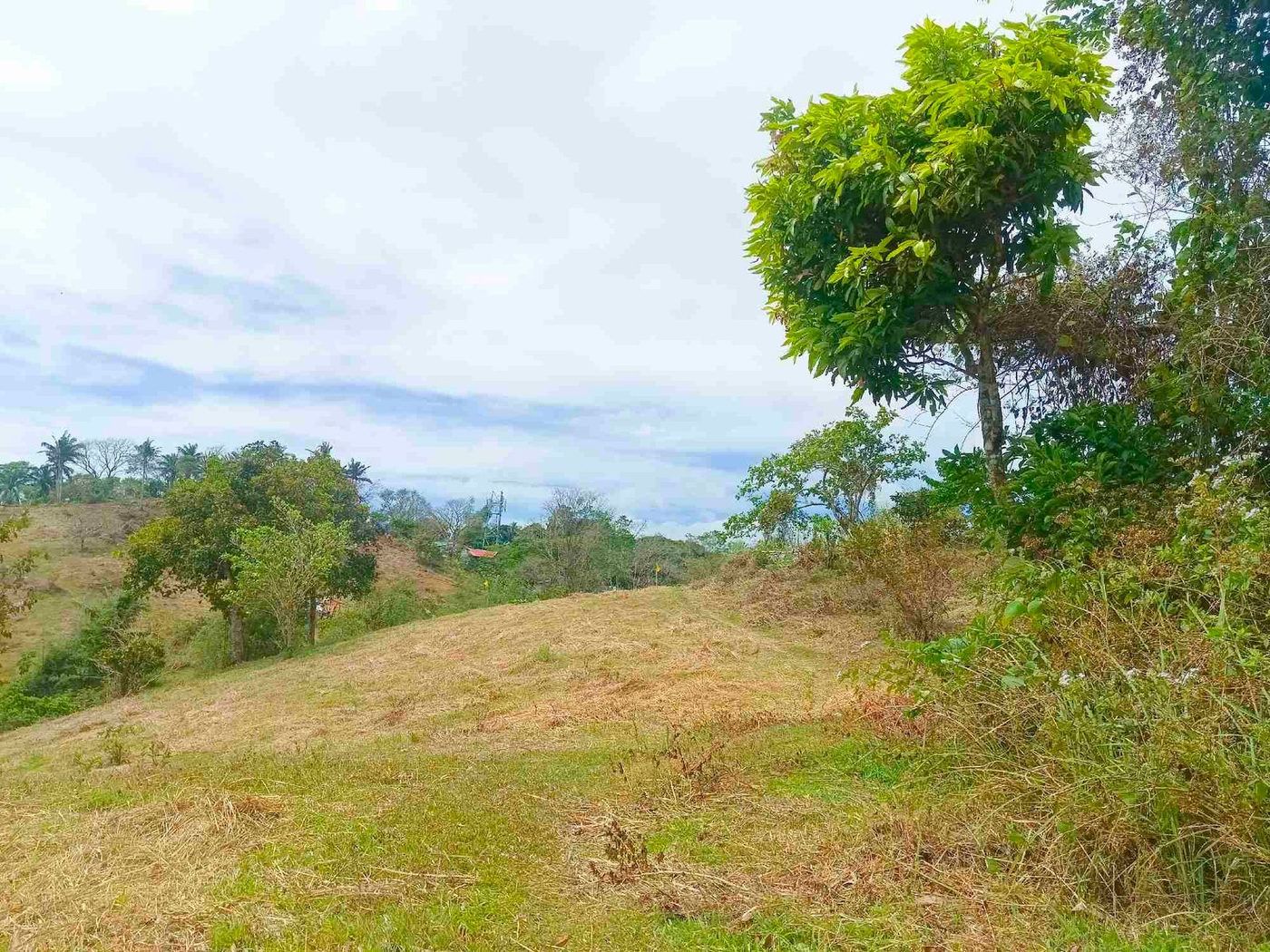 500 SQM Titled Farm Lot for Sale in Sampaloc, Tanay, Rizal – photo 18