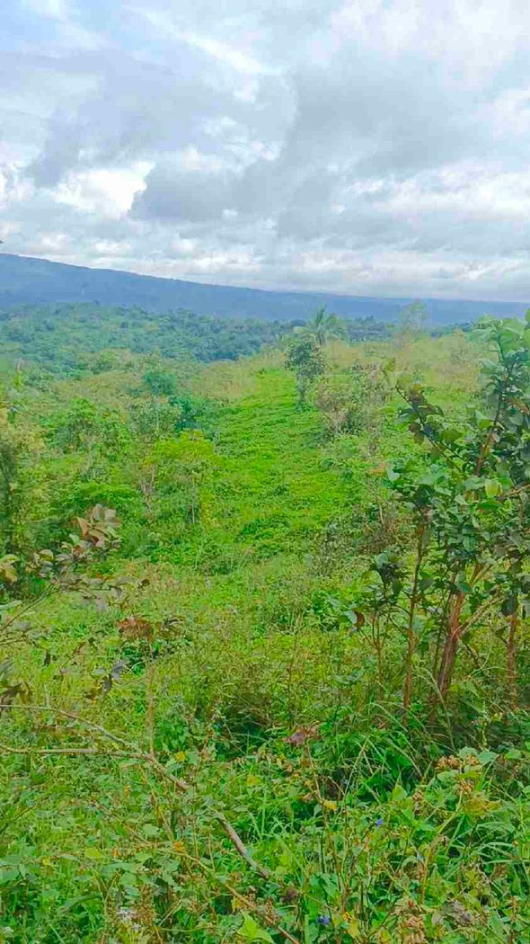 500 SQM Titled Farm Lot for Sale in Sampaloc, Tanay, Rizal – photo 22