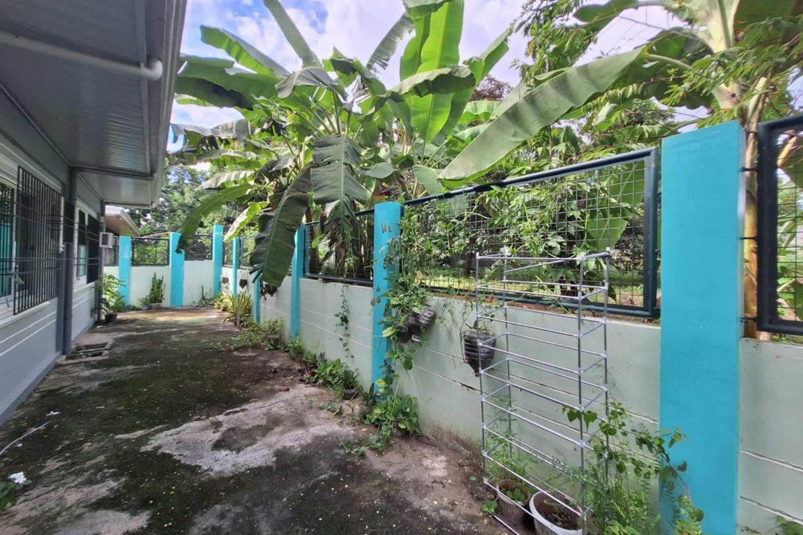 6 Bedroom House for Sale in Mabini, Tarlac, Tarlac – photo 5