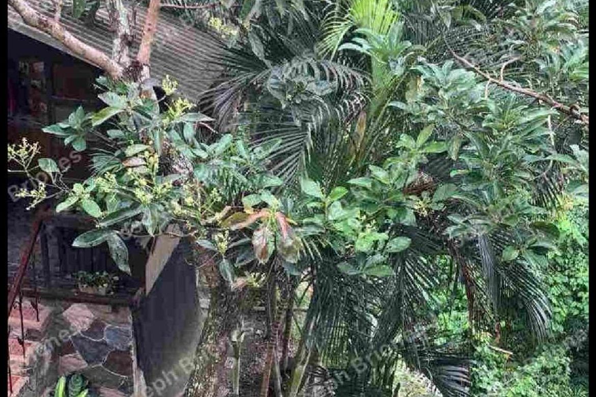 6 Bedroom House for Sale in Payapa Ibaba, Lemery, Batangas – photo 3