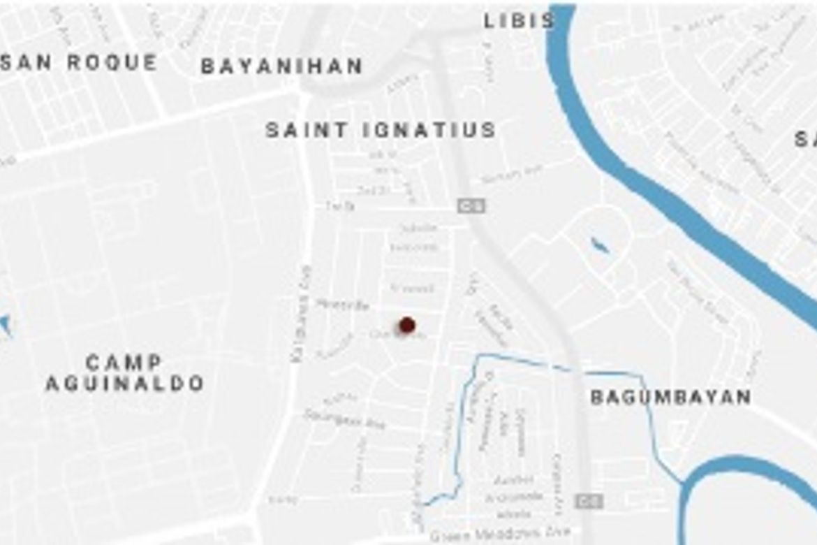 6 Bedroom House for Sale in White Plains, Quezon City, Metro Manila – photo 3