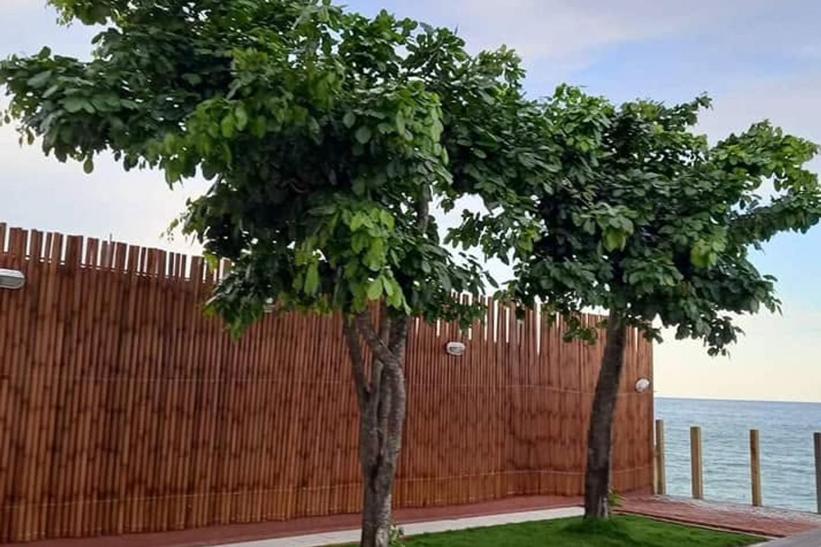 6 Bedroom Villa for Sale in Poblacion, Compostela, Cebu – photo 3