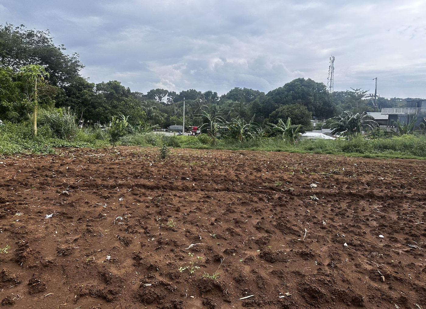 6-Hectare Highway-Frontage Property for Sale near Camp Capinpin, Sampaloc, Tanay