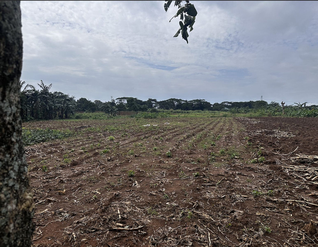 6-Hectare Highway-Frontage Property for Sale near Camp Capinpin, Sampaloc, Tanay – photo 4