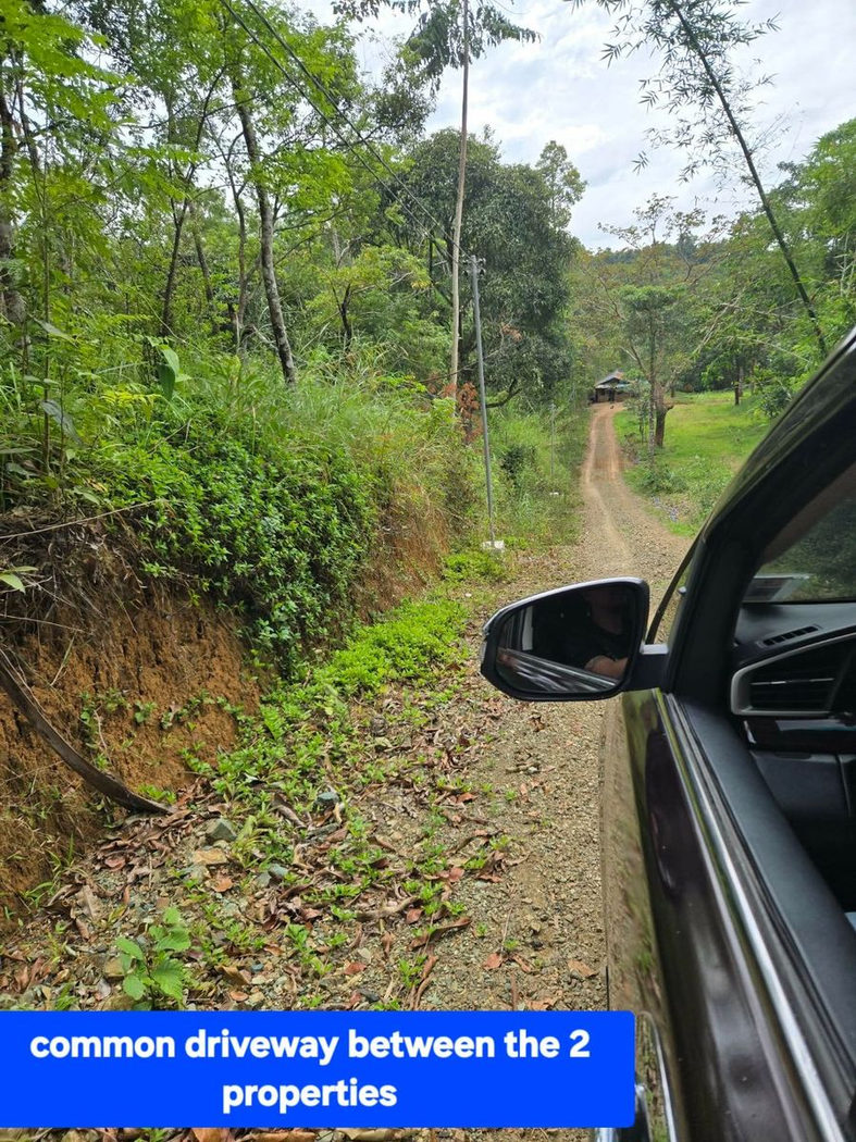 6.5-Hectare Farm Lot with Creek for Sale in Sampaloc, Tanay, Rizal