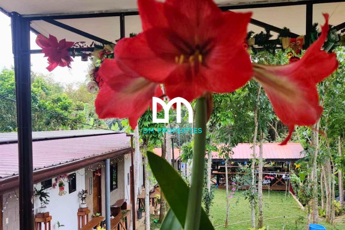 7 Bedroom House for Sale in Mangas I, Alfonso, Cavite – photo 8