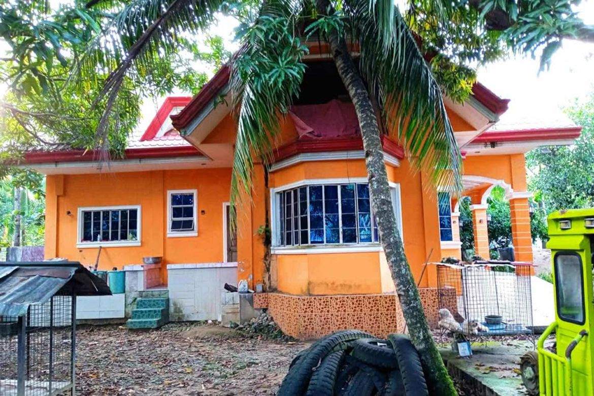 7 Bedroom House for Sale in Pagatban, Bayawan, Negros Oriental – photo 2