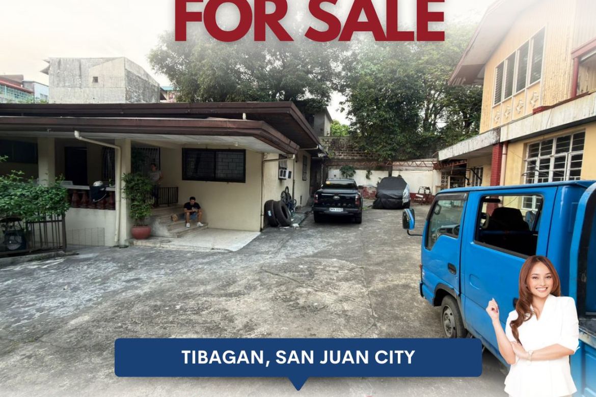 8 Bedroom House for Sale in Barangay 183, Pasay, Metro Manila