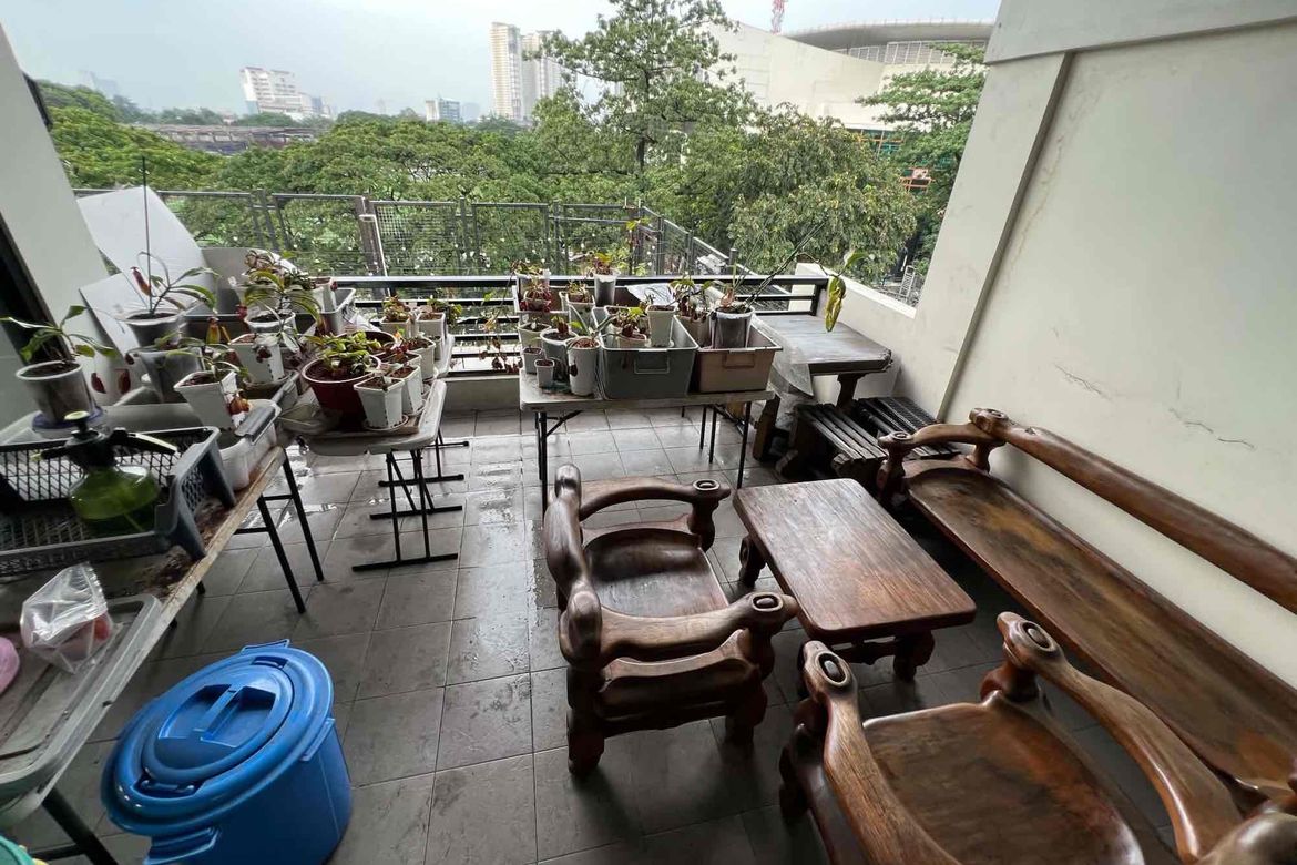 8 Bedroom Shophouse for Sale in Roxas, Quezon City, Metro Manila – photo 8