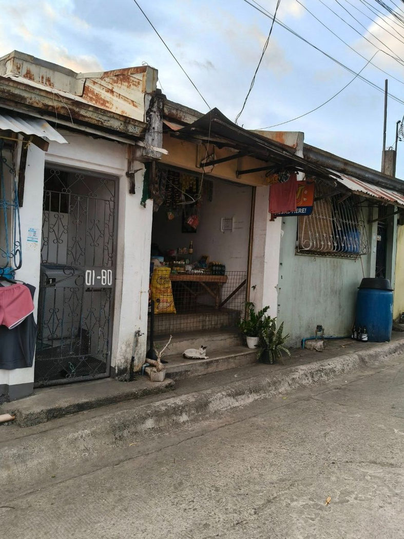 82 SQM Commercial-Residential House and Lot with 3 Doors for Sale in Carissa 1, Teresa, Rizal – photo 2