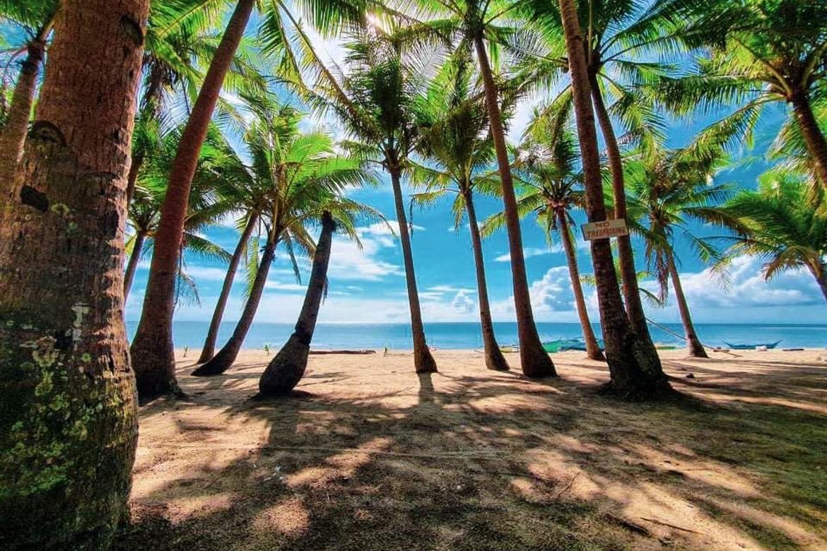 Commercial for Sale in Agpudlos, San Andres, Romblon – photo 2