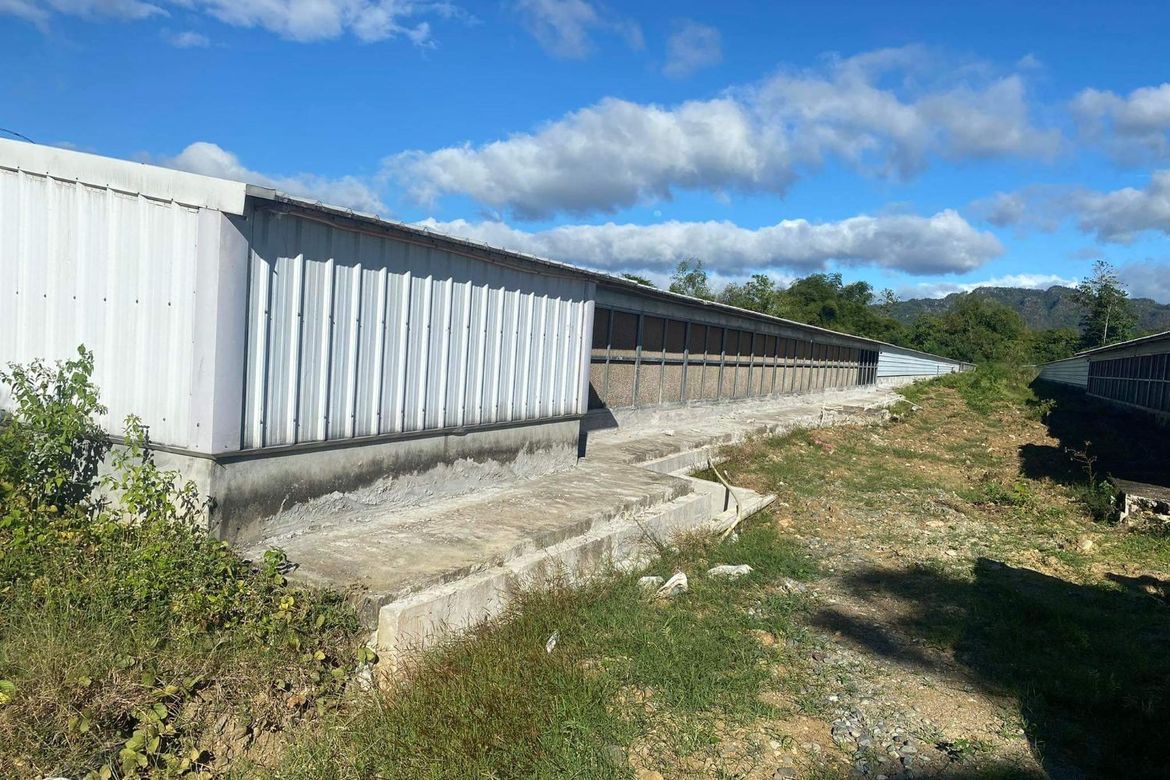 Commercial for Sale in Balaong, San Miguel, Bulacan – photo 2