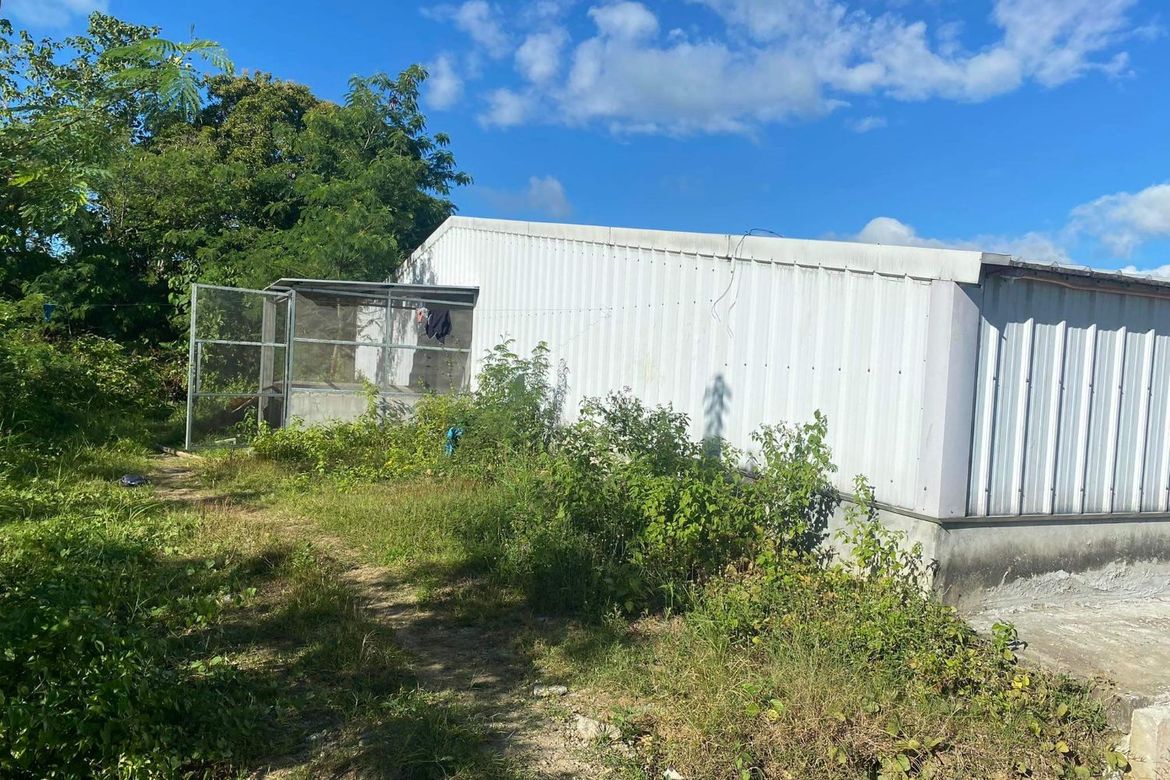 Commercial for Sale in Balaong, San Miguel, Bulacan – photo 7