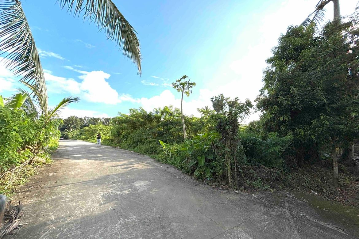 Commercial for Sale in Banaybanay, Amadeo, Cavite – photo 2