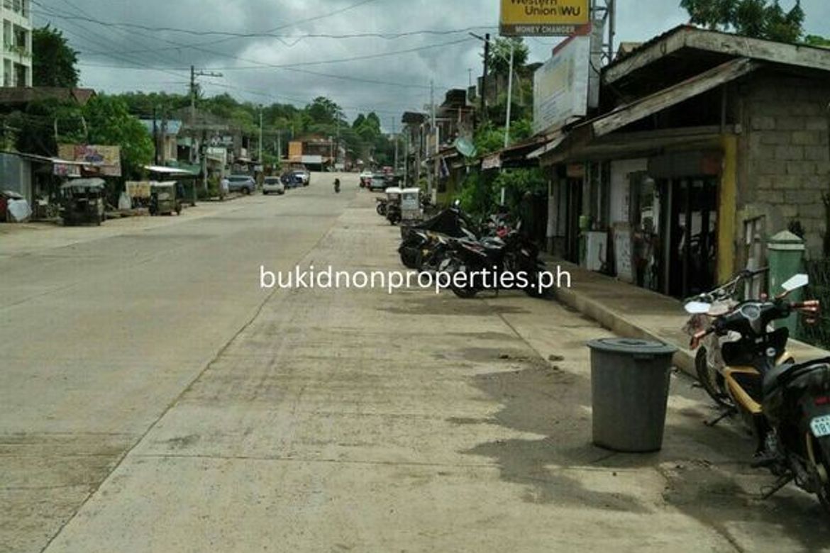 Commercial for Sale in Bismartz, Don Carlos, Bukidnon