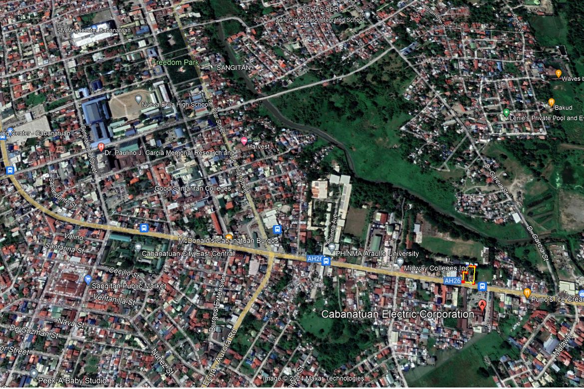 Commercial for Sale in Bitas, Cabanatuan, Nueva Ecija – photo 4